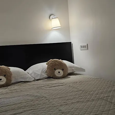 Teddy Stari Grad * Нови-Сад