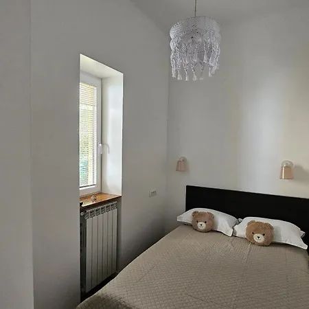 Teddy Stari Grad * Нови-Сад