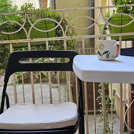 Teddy Stari Grad * Нови-Сад