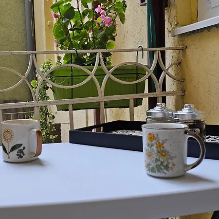 Teddy Stari Grad * Нови-Сад