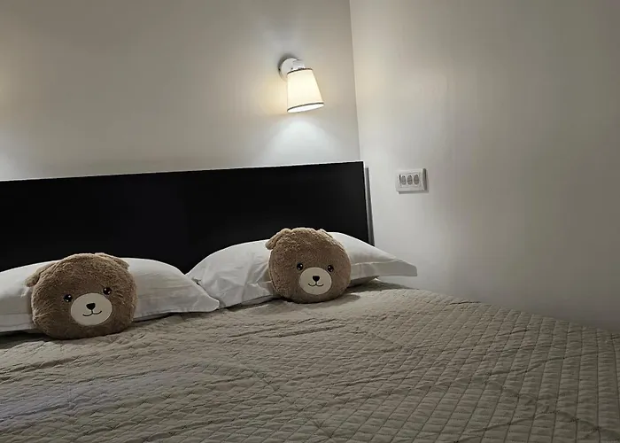 Teddy Stari Grad * Novi Sad