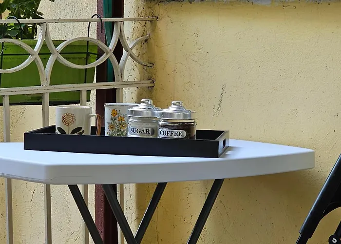 Teddy Stari Grad Novi Sad