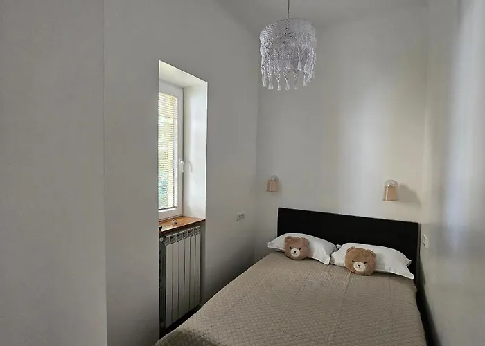 Teddy Stari Grad * Novi Sad