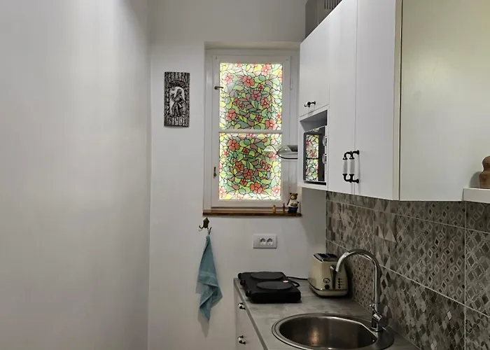 Teddy Stari Grad * Novi Sad