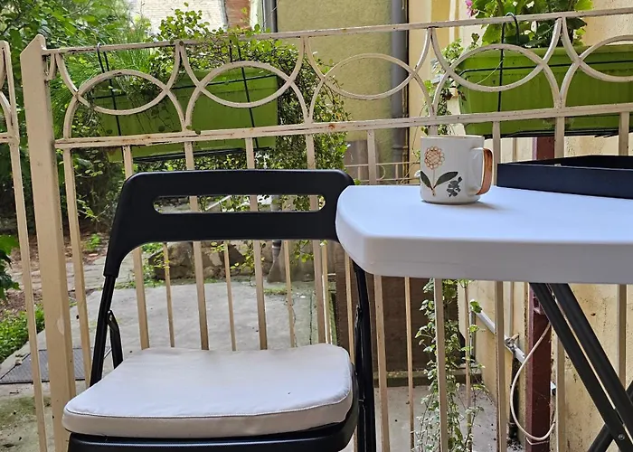 Teddy Stari Grad * Novi Sad