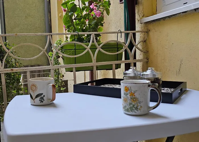 Teddy Stari Grad * Novi Sad